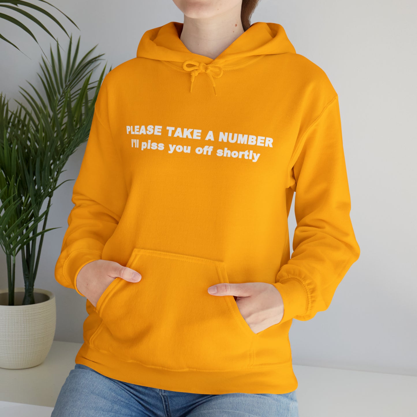 Please Take a Number - Unisex Heavy Blend™ Hooded Sweatshirt